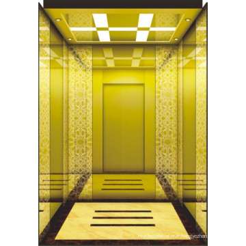 Bsdun Convenient Shopping Mall Passenger Elevator avec Luxury Lift Décoration